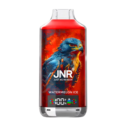 JNR Falcon X 18000 Einweg Vape